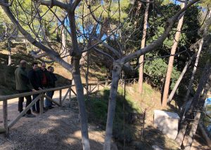La Diputación de Alicante invierte 1,3 millones de euros en la protección y conservación de los espacios naturales de la provincia