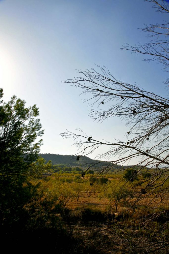 San Miguel de Salinas