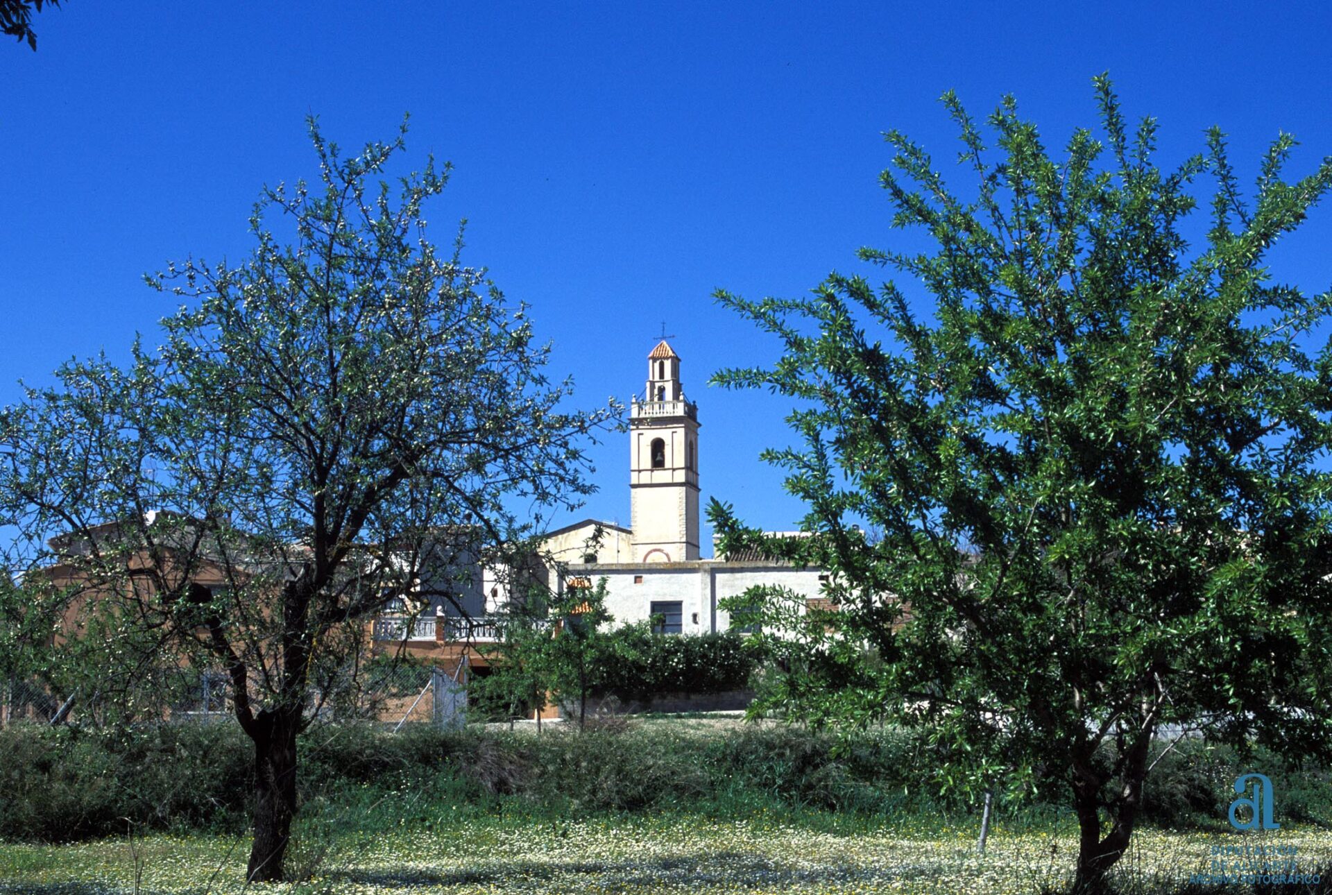 Benillup-Vista panoramica