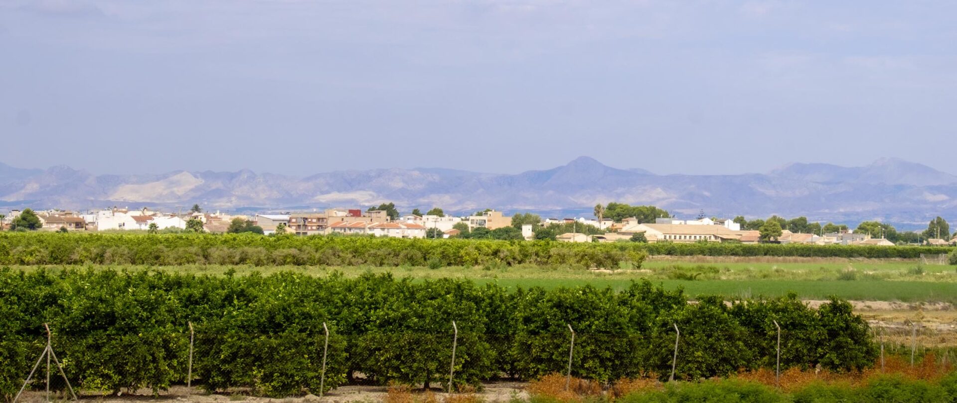 Formentera del Segura-Vista panoramica