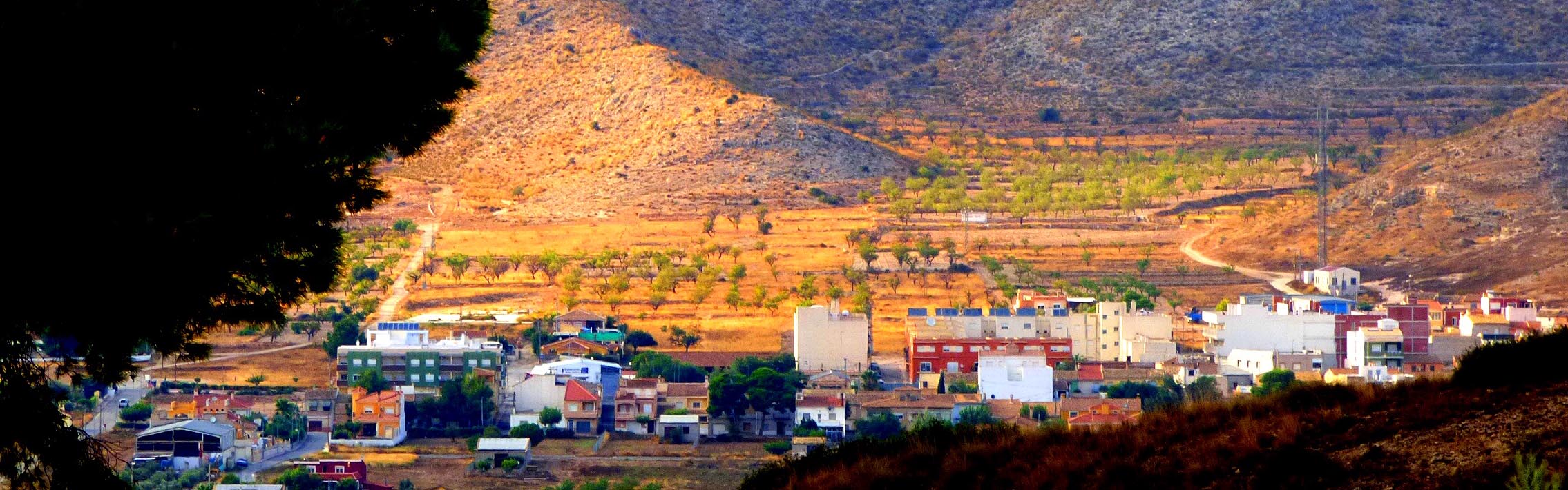 Hondon Frailes-Vista panoramica