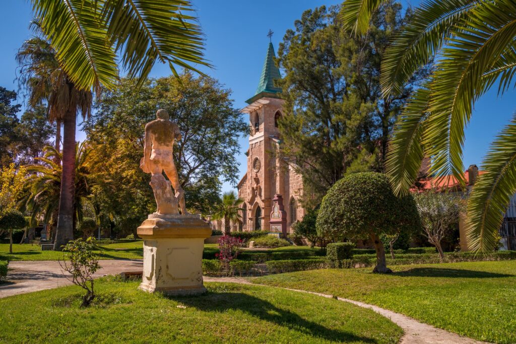 Jacarilla.- Vega Baja (9)