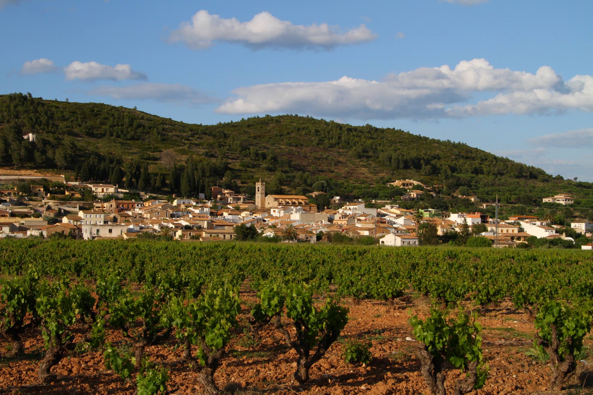 Lliber-Vista panoramica