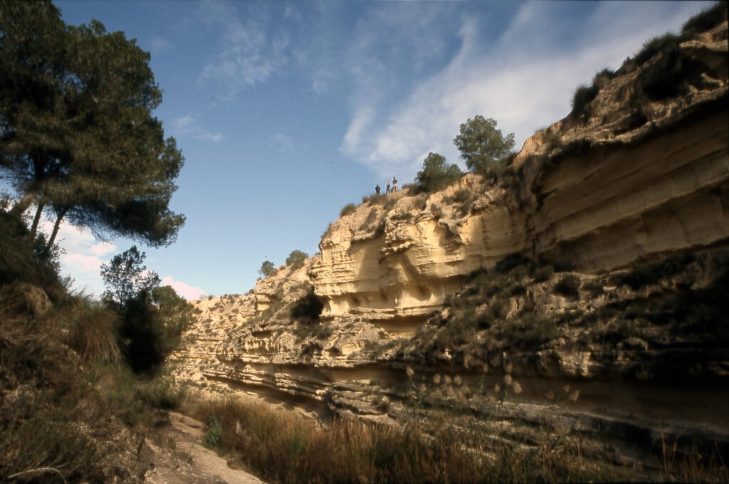 Pilar de la Horadada-PARAJE RÍO SECO