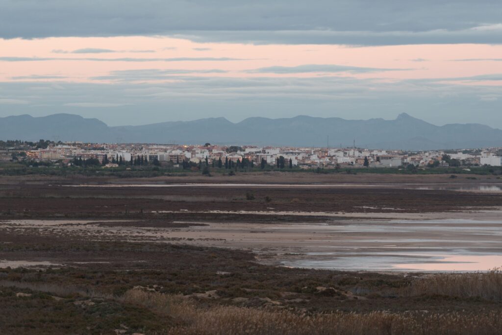 Los Montesinos-Vistas