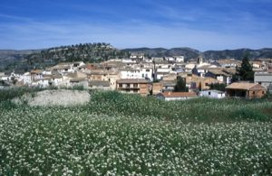 Quatretondeta
