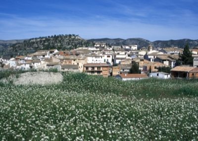 Quatretondeta