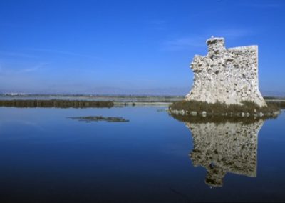 Santa Pola