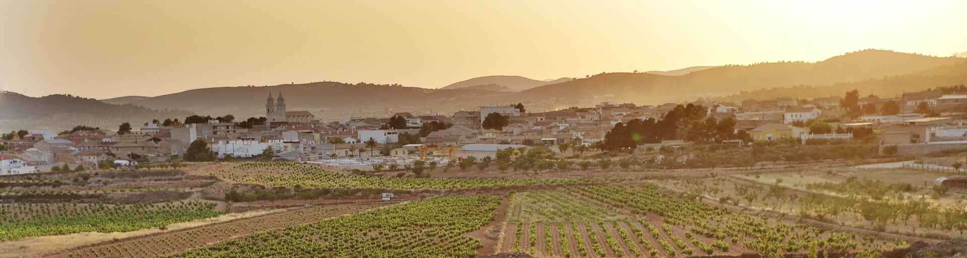 Panorámica vistas Algueña