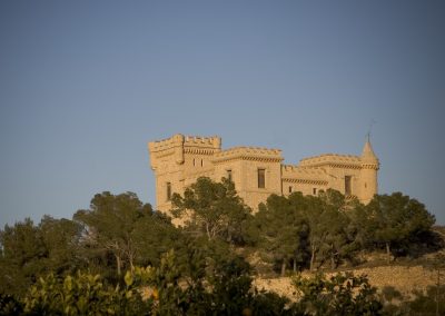 Algorfa