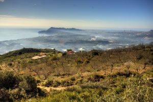 Callosa d'Ensarrià