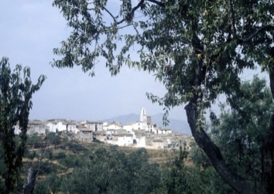 Almudaina