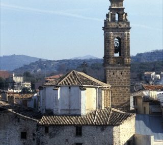 Alfafara