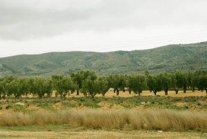 Cañada