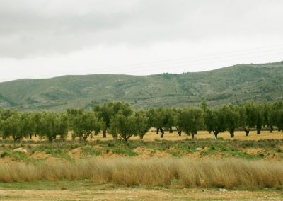 Cañada