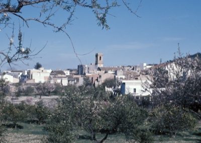 Orba