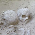 Los trabajos del MARQ en el yacimiento de Cabezo del Molino sacan a la luz un ‘complejo industrial’ del periodo Ibérico