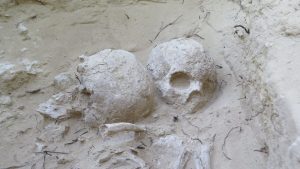 Los trabajos del MARQ en el yacimiento de Cabezo del Molino sacan a la luz un ‘complejo industrial’ del periodo Ibérico