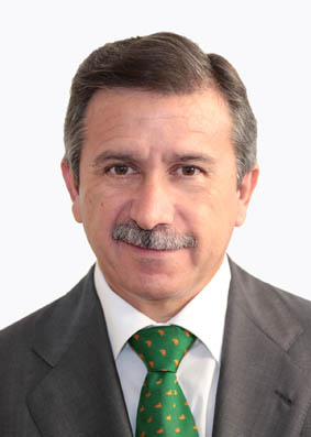 Manuel Aracil Llorens