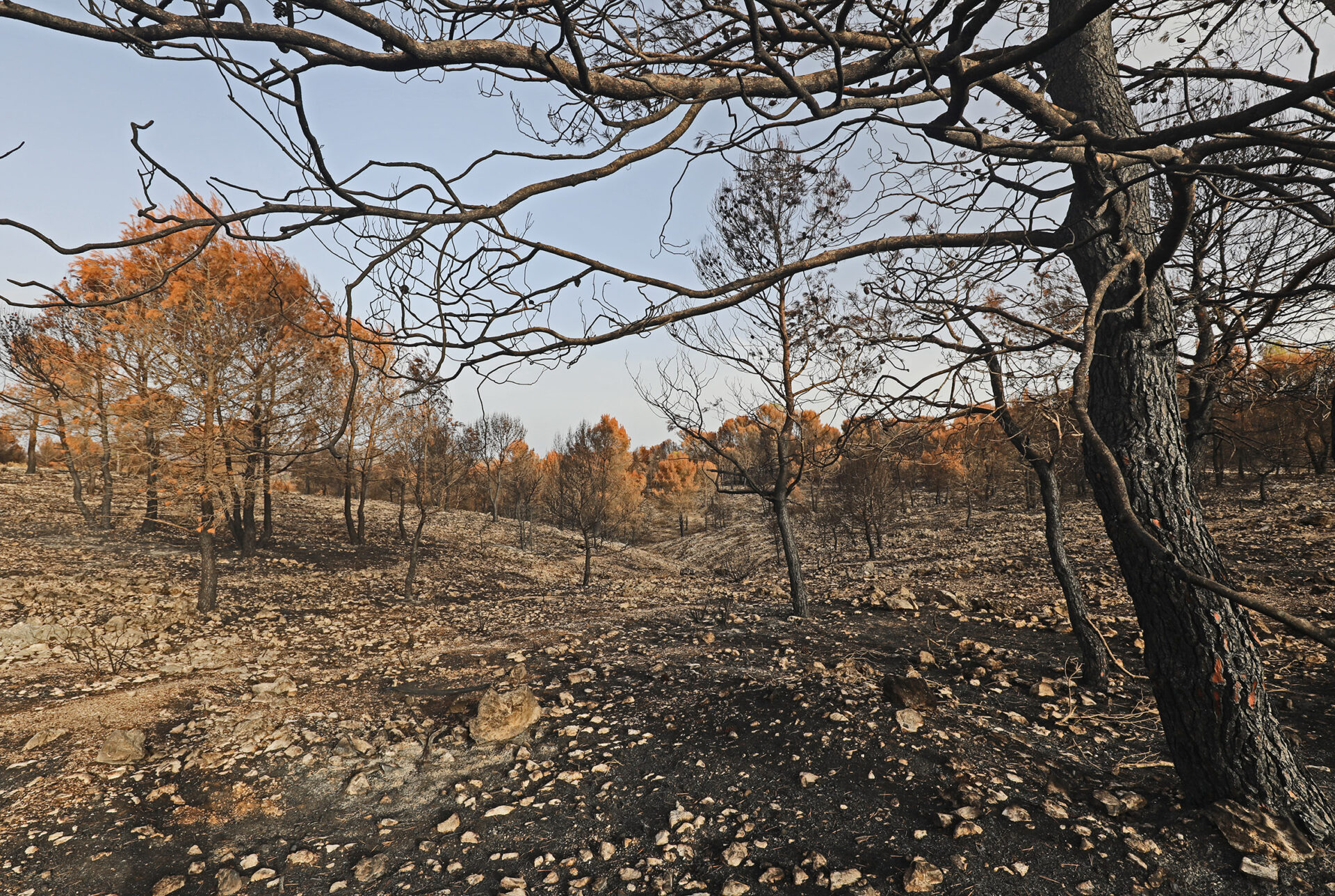 Ayudas-Medio-Ambiente-Prevencion-Incendios-Forestales
